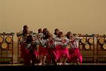 Dcim11191/DSC_8631