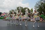 Dcim11197/DSC_9464