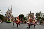 Dcim11202/DSC_0019