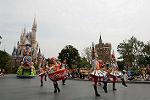 Dcim11202/DSC_0020