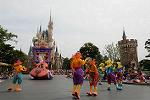 Dcim11202/DSC_0047