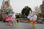 Dcim11202/DSC_0091