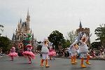 Dcim11202/DSC_0093
