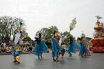 Dcim11203/DSC_0223