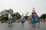 Dcim11203/DSC_0226