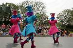 Dcim11204/DSC_0308