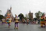 Dcim11204/DSC_0355