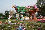 Dcim11205/DSC_0494