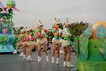 Dcim11206/DSC_0640