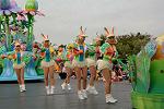 Dcim11206/DSC_0643