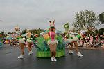 Dcim11207/DSC_0707