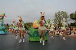 Dcim11207/DSC_0715