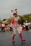 Dcim11208/DSC_0909