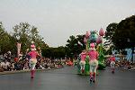 Dcim11208/DSC_0931