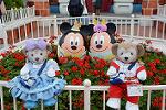 Dcim11210/DSC_1167
