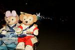 Dcim11210/DSC_1223