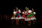 Dcim11213/DSC_1566