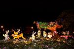 Dcim11213/DSC_1642