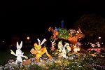 Dcim11213/DSC_1646