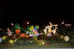 Dcim11213/DSC_1648