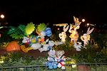 Dcim11213/DSC_1653