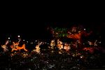 Dcim11216/DSC_2094