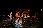 Dcim11216/DSC_2103