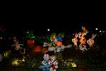 Dcim11217/DSC_2117