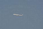 Dcim11225/DSC_3217