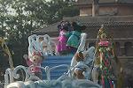 Dcim11226/DSC_3464