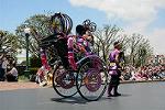 Dcim11240/DSC_5247
