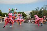 Dcim11243/DSC_5665