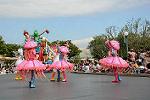 Dcim11243/DSC_5668