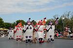 Dcim11245/DSC_5887