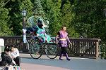 Dcim11247/DSC_6126