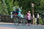 Dcim11247/DSC_6131