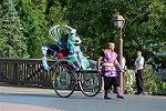 Dcim11247/DSC_6132
