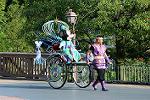 Dcim11247/DSC_6138