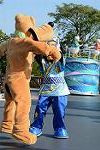 Dcim11247/DSC_6229