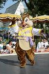 Dcim11247/DSC_6245