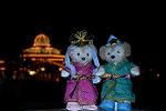 Dcim11257/DSC_7543