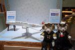 Dcim11261/DSC_8055