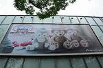 Dcim11262/DSC_8187