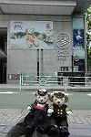 Dcim11262/DSC_8196