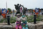 Dcim11268/DSC_8696