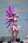 Dcim11276/DSC_9870