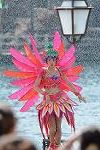 Dcim11279/DSC_0220