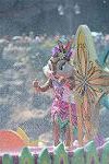 Dcim11279/DSC_0257