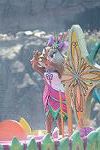 Dcim11279/DSC_0259