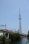 Dcim11283/DSC_0822